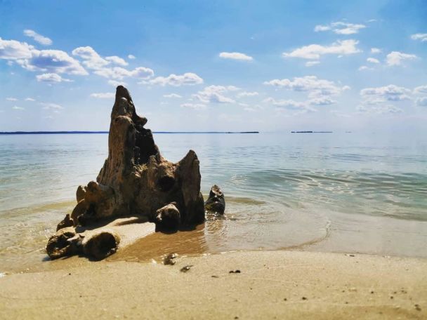  / © instagram.com/katherine_lysak