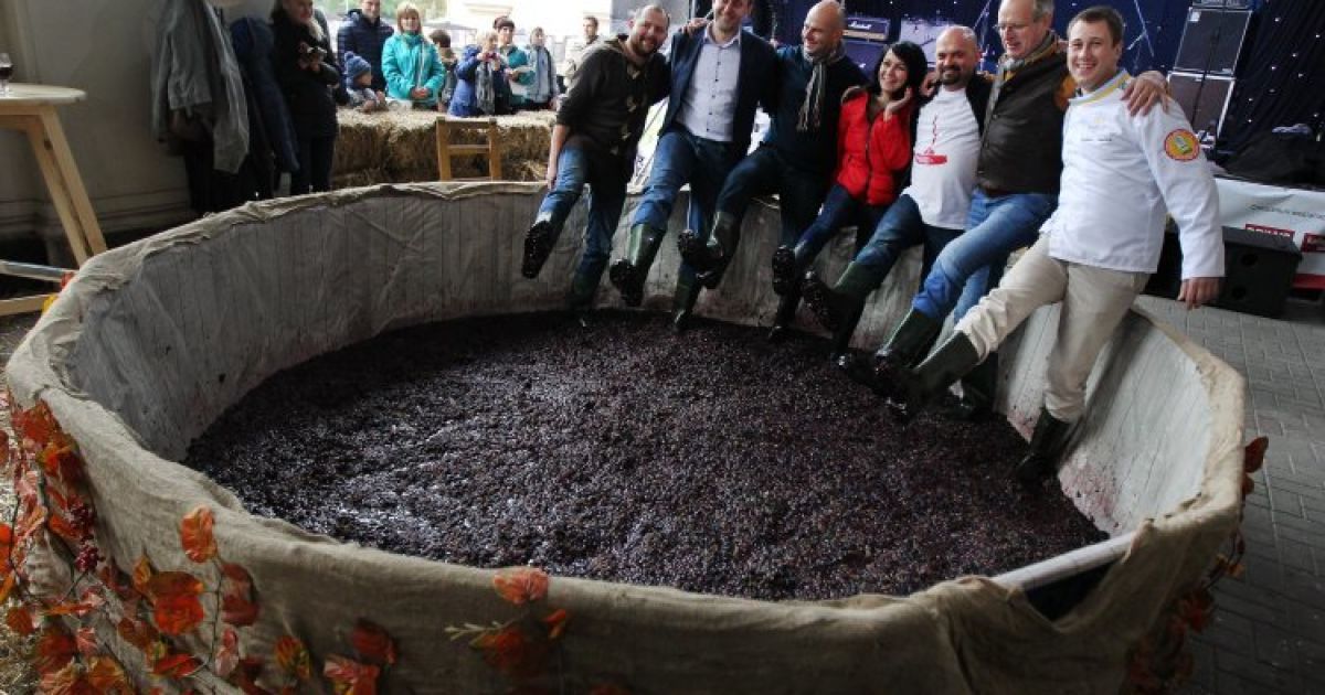 Большая давильня винограда во время Праздника сыра и вина во Львове. Во время Праздника проходит ярмарка сыров и вин. / © УНИАН