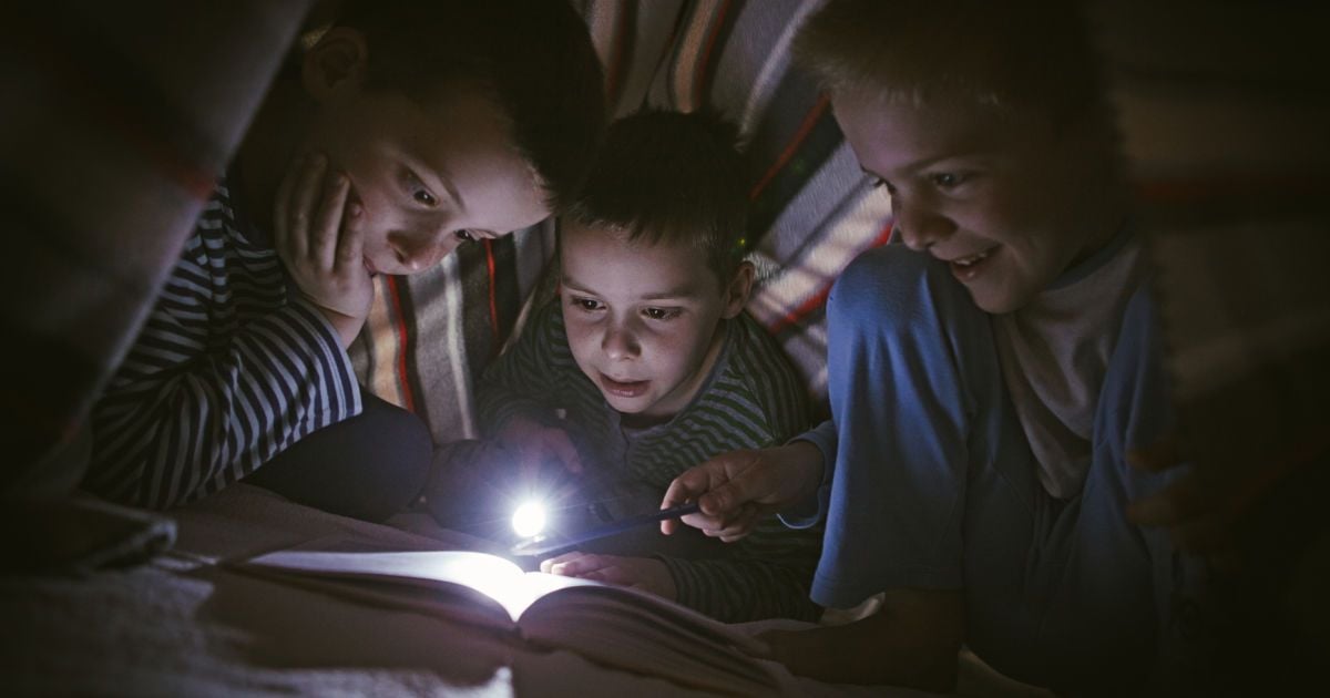 Что нужно знать об уникальном для Украины питчинге "Книголав". Инфографика