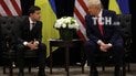 Володимир Зеленський та Дональд Трамп