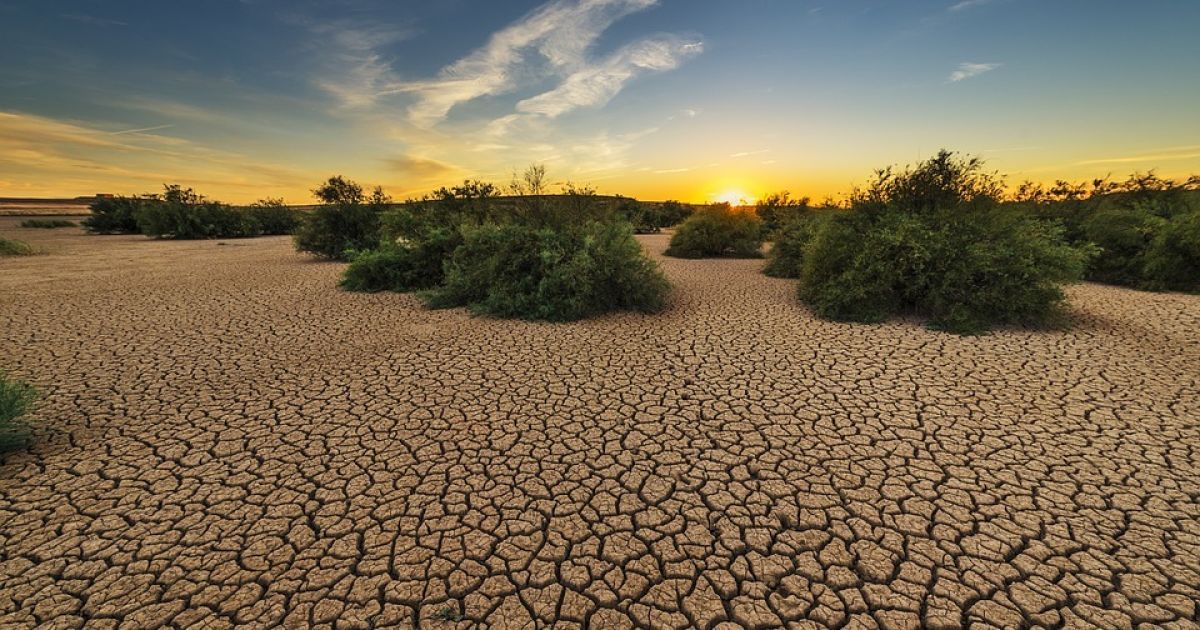 Рекордно спекотний рік спричинив пересихання водних потоків і подекуди тривалі посухи.