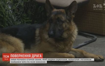 Дивовижне повернення: киянин знайшов свого пса через рік після загадкового зникнення