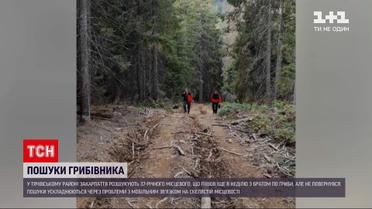 Новини України: 37-річний чоловік із Закарпаття пішов збирати гриби і не повернувся