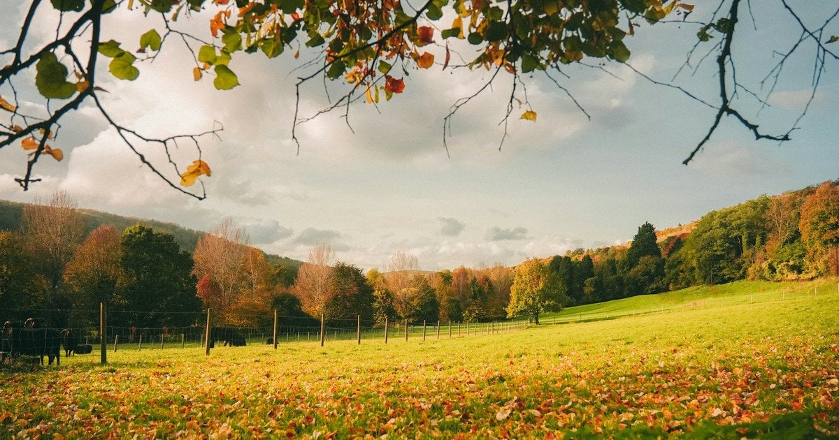 Синоптики здивували прогнозом погоди в Україні на тиждень: чого очікувати