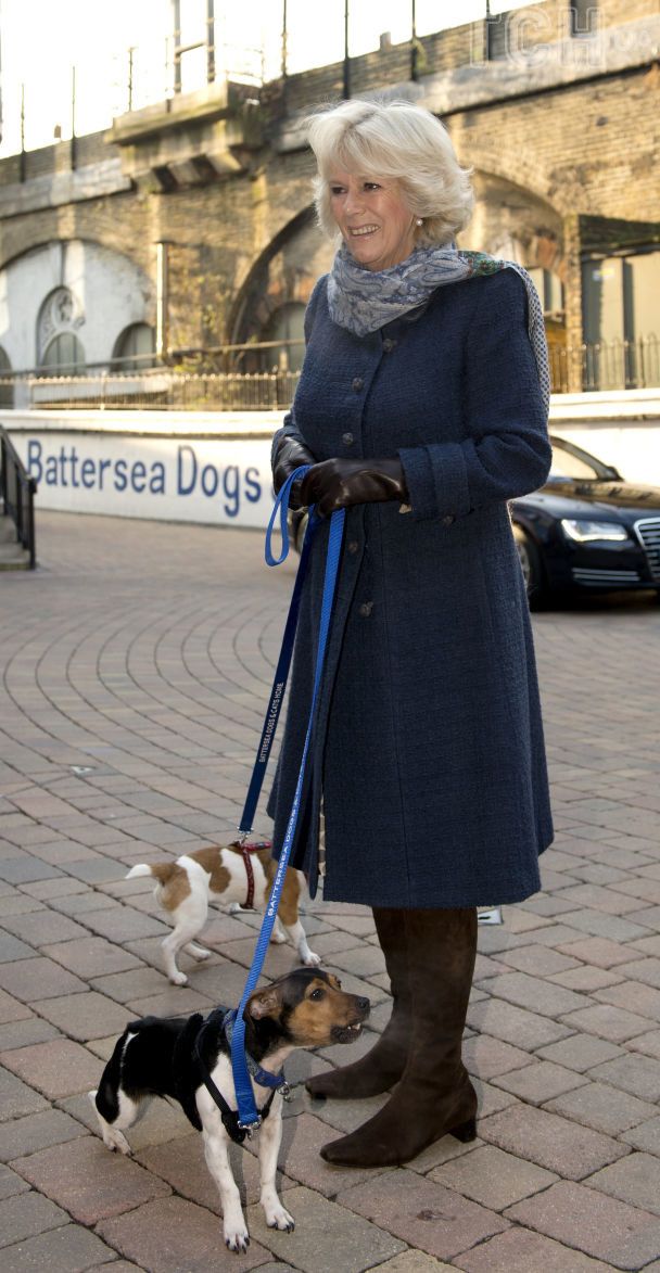 Queen Camilla with her dogs / © Getty Images