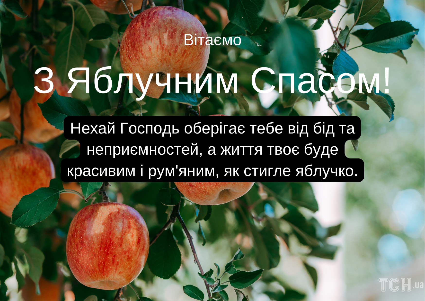Поздравления с Яблочным Спасом 2022: картинки на украинском, проза, стихи и смс 2