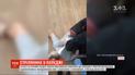 В российском колледже студент открыл огонь по однокурсникам, а затем покончил с собой