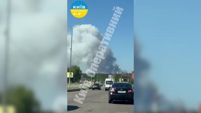 Возле Киева произошел масштабный пожар в лесном массиве