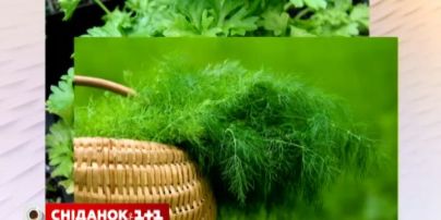Медики посоветовали, как детям украпиты иммунитет