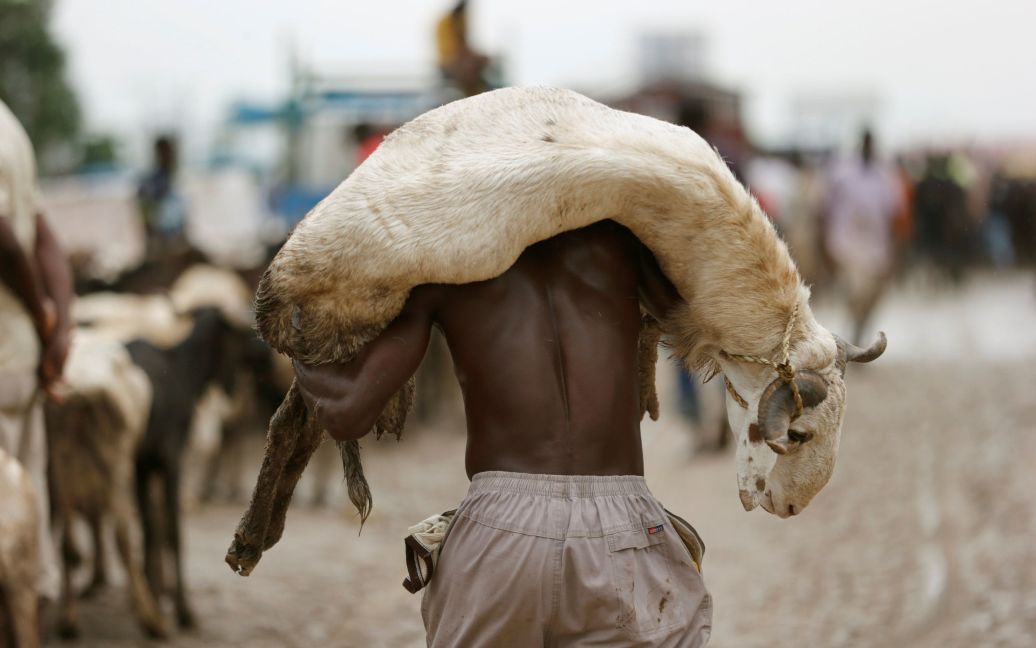 Нігерія / © Reuters