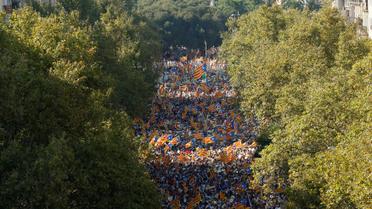 В Испании полмиллиона демонстрантов требовали независимости для Каталонии_5 / © Reuters