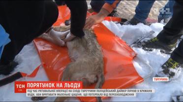 Поліцейський дайвер врятував цуценя, пірнувши у крижану воду