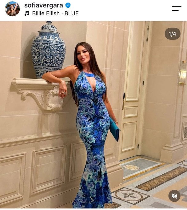 Софія Вергара / © Instagram Софії Вергари
