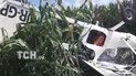 На Сумщині розбився літак, який обробляв кукурудзяне поле