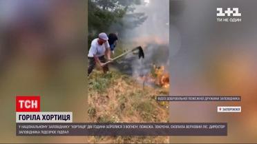 Новости Украины: на Хортице вспыхнул масштабный пожар