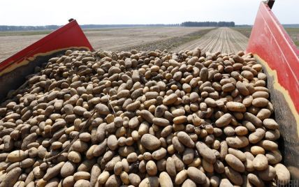 В Украину завозят рекордное количество российской картошки