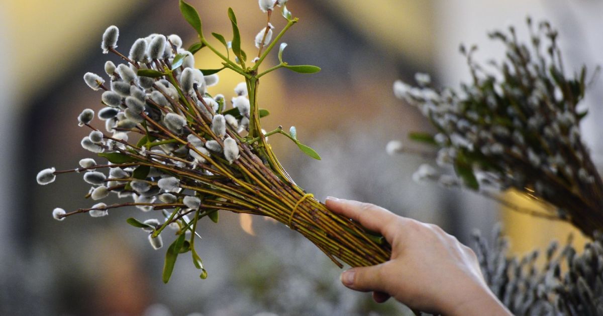 Открытки с Вербным воскресеньем: красивые поздравительные картинки и фото