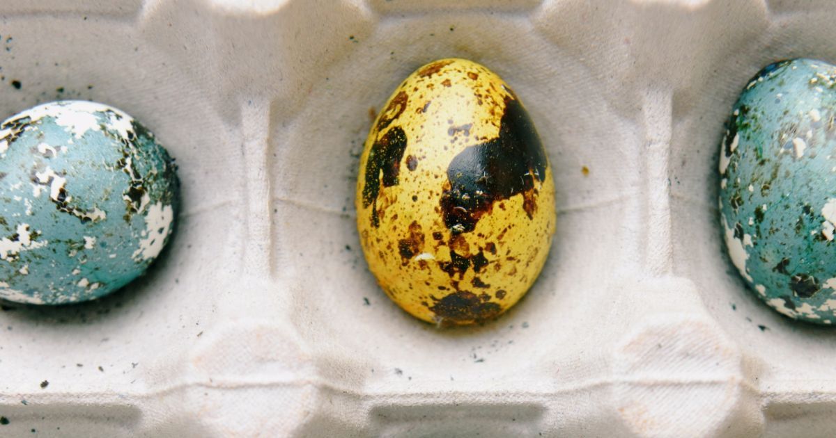 История окрашивания яиц: откуда пошла традиция, что обозначает?
