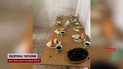 Масштабные проверки! Чем кормят детей в школах?! Продолжение громкого скандала