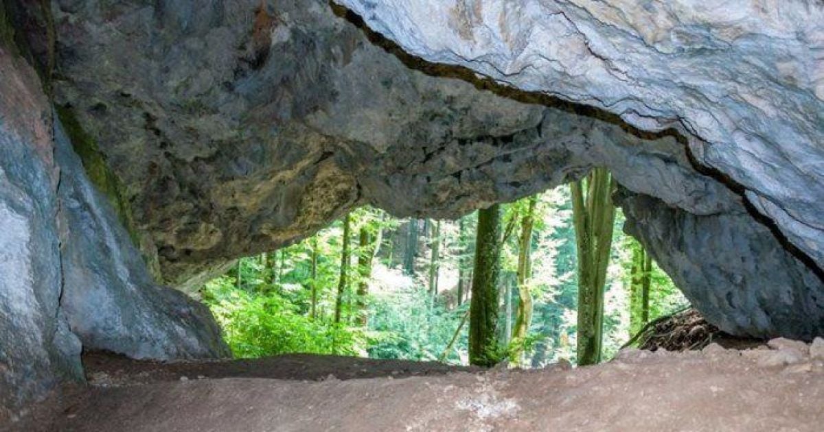 Печерна стоянка на Закарпатті