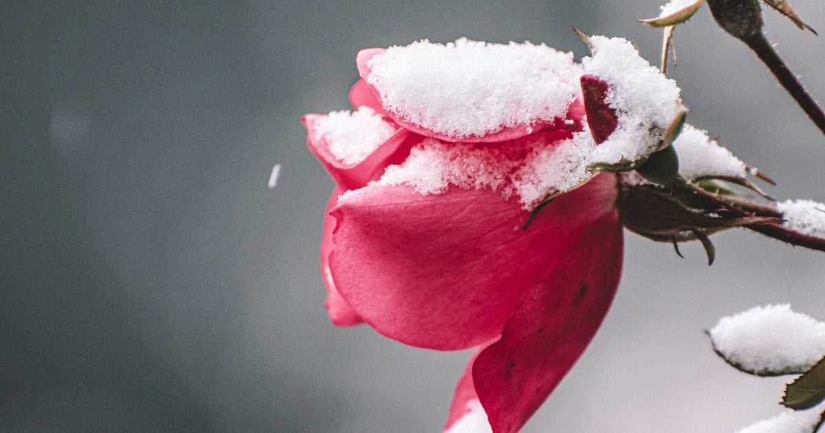 Який сьогодні, 3 грудня, день ангела