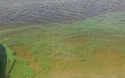 Купатися заборонено: чим небезпечна гнила вода для здоров'я відпочивальників