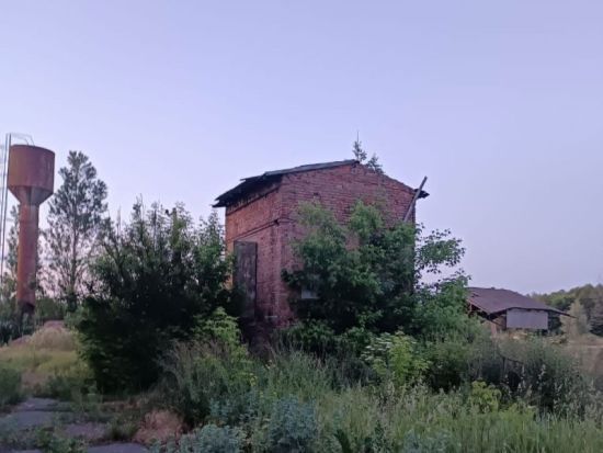 У Полтавській області знайшли мертвим 14-річного хлопчика: пішов гуляти і зник (фото)