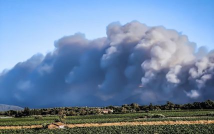 У Франції спалахнула масштабна пожежа: райони в диму, тисячі людей евакуювали (фото, відео)