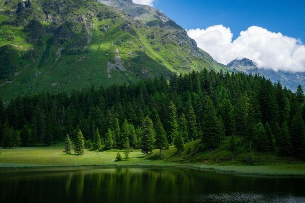 26 вересня в Україні і світі святкують Всесвітній день здоров’я довкілля / © pexels.com