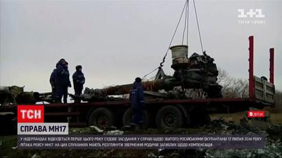 В Нидерландах возобновились судебные слушания по делу сбитого над Донбассом малайзийского Боинга