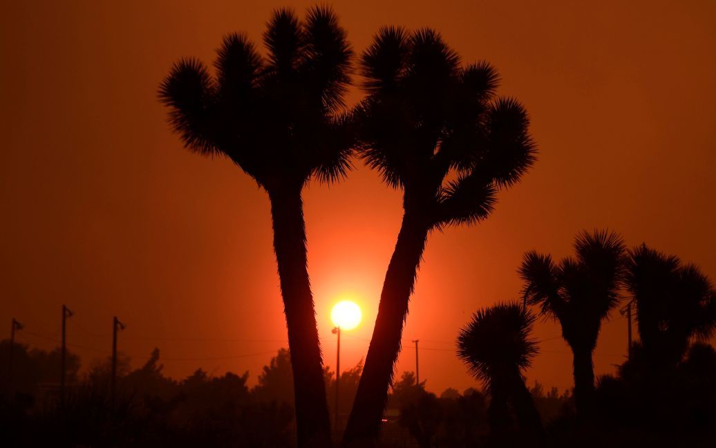 Лісові пожежі у Каліфорнії / © Reuters