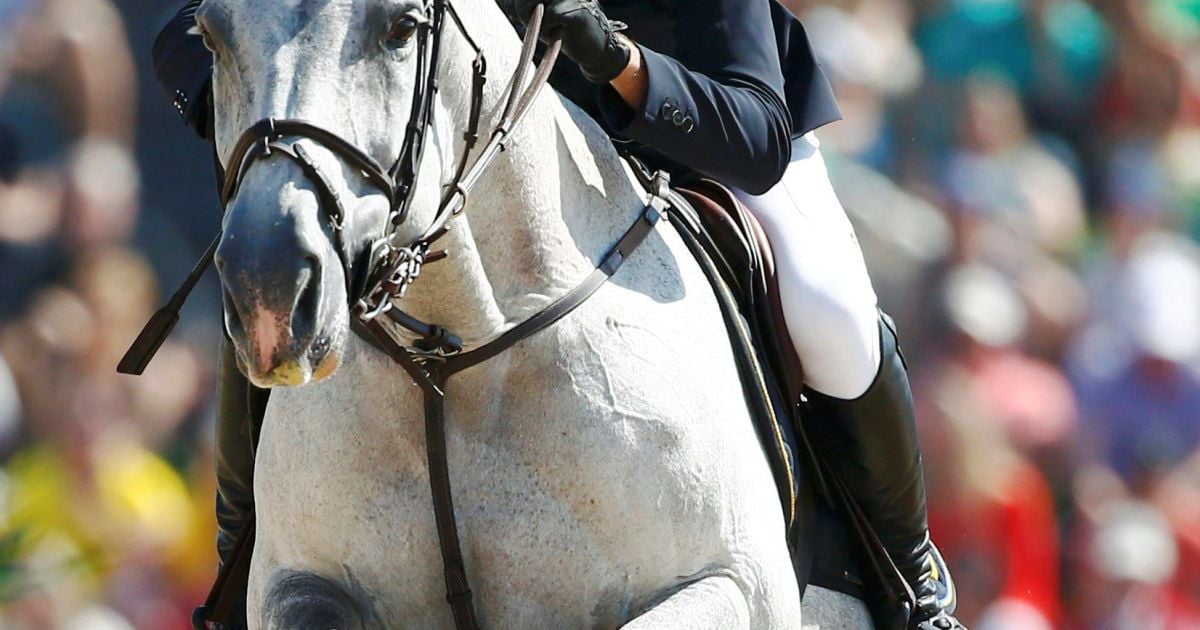 Українського вершника дискваліфікували на Олімпійських іграх через рани у коня
