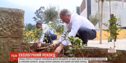Экологический рекорд: в Эфиопии за день высадили более 350 миллионов деревьев