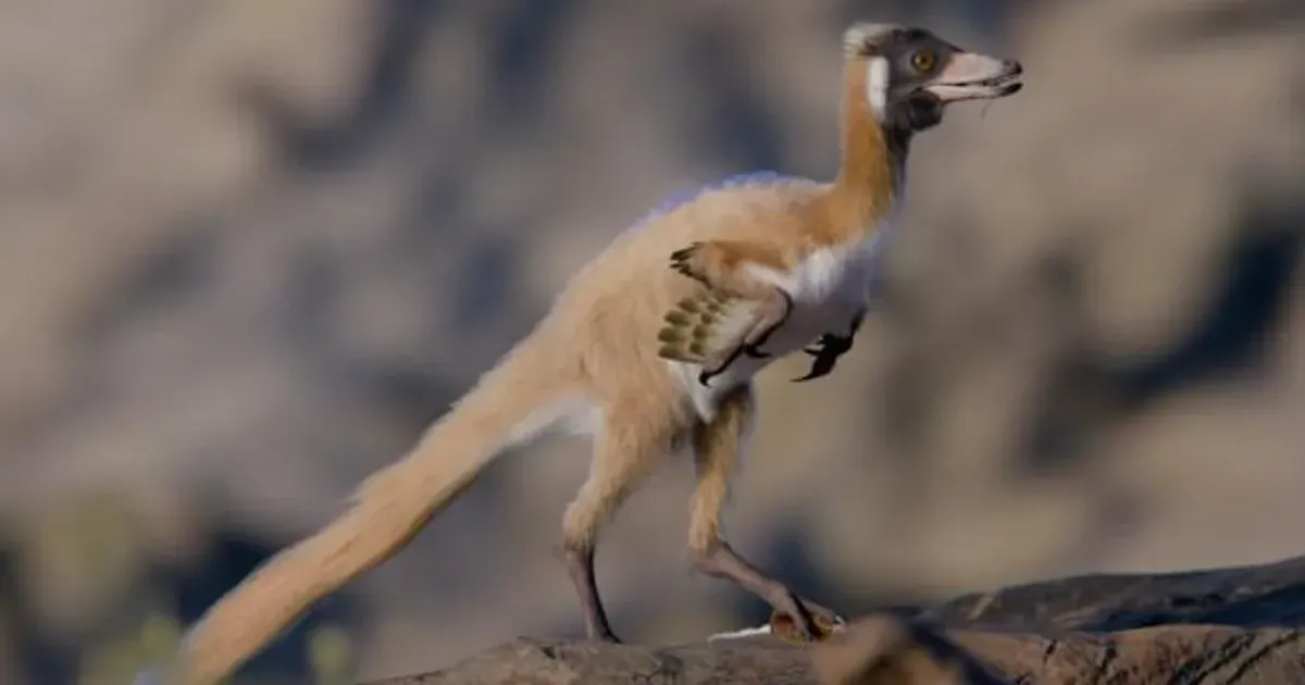 Птицеподобный динозавр Алнашетри. Фото: Национальный университет Рио-Негро