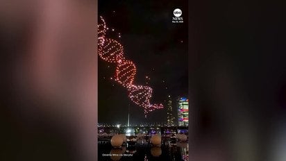 У Сіднеї під час шоу Vivid Sydney майже 90 дронів впали у воду біля глядачів