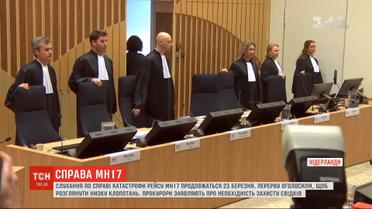 Для решения ряда ходатайств по делу катастрофы рейса MH17 объявили длительный перерыв