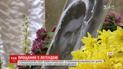 Во Львове простились с легендой города Маркияном Иващишином