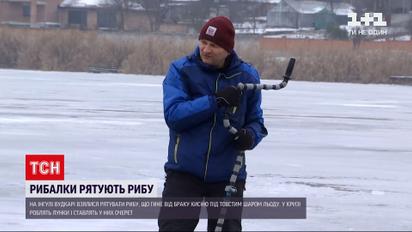 У Кропивницькому рибалки рятували рибу від браку кисню