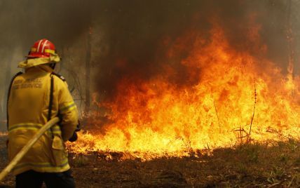 Лісові пожежі в Австралії: рятувальники прогнозують "катастрофічне" погіршення