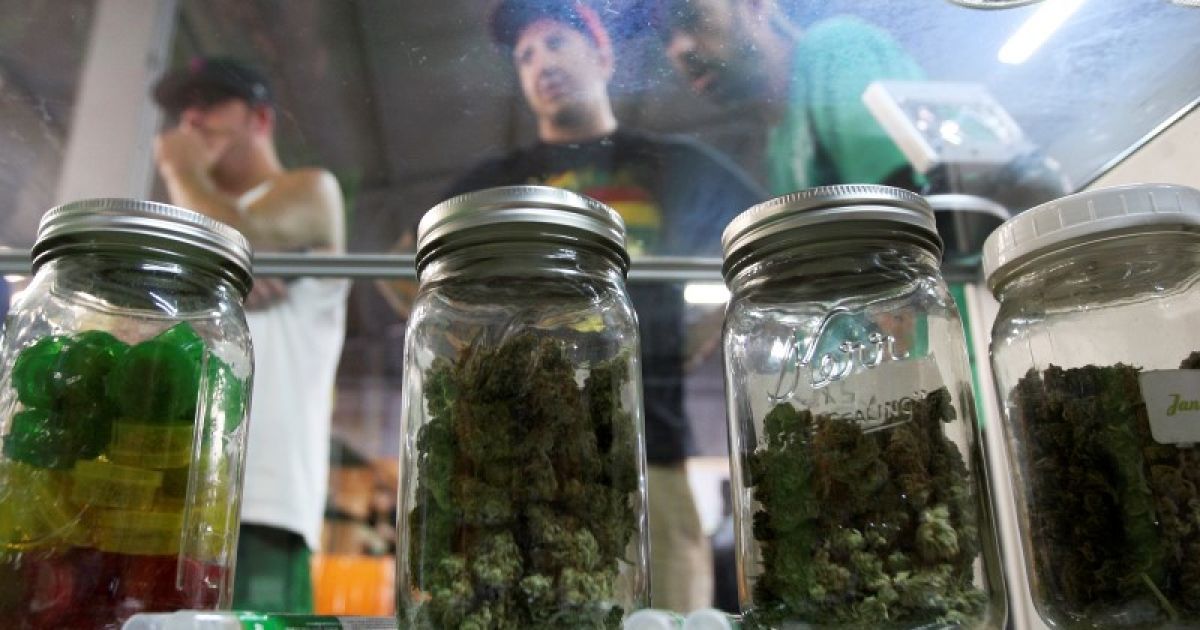 В Нидерландах депутаты поддержали легализацию выращивания конопли