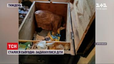 Новости за сутки: удушения детей в сундуке, сбитая свадебная группа и памятник картошке