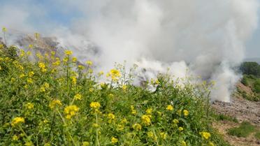 друга пожежа на грибовицьком смітнику 8 червня_3