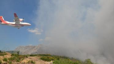 друга пожежа на грибовицьком смітнику 8 червня_2