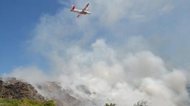 друга пожежа на грибовицьком смітнику 8 червня_4