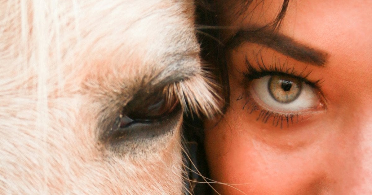 Тотемна тварина за місяцем народження