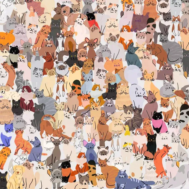 Головоломка. Фото: Kitty Bingo