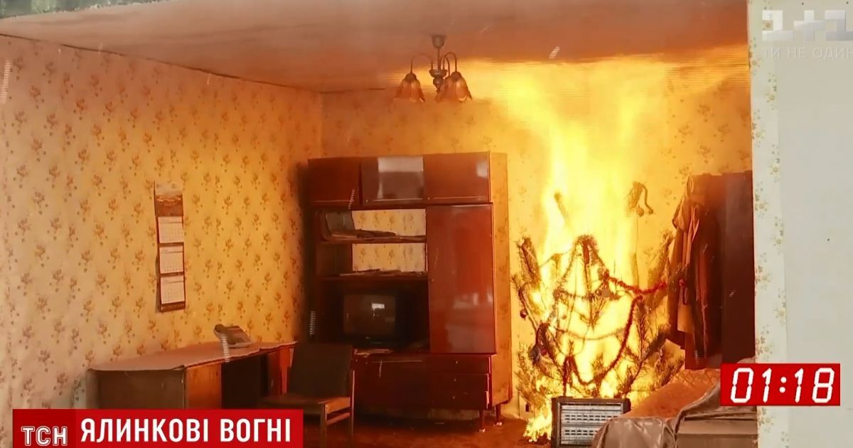 Заземлить иллюминацию и поливать елку: пожарные США напомнили новогодние правила безопасности