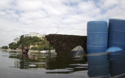 Олимпийские водоемы в Рио-де-Жанейро достигли критической загрязненности