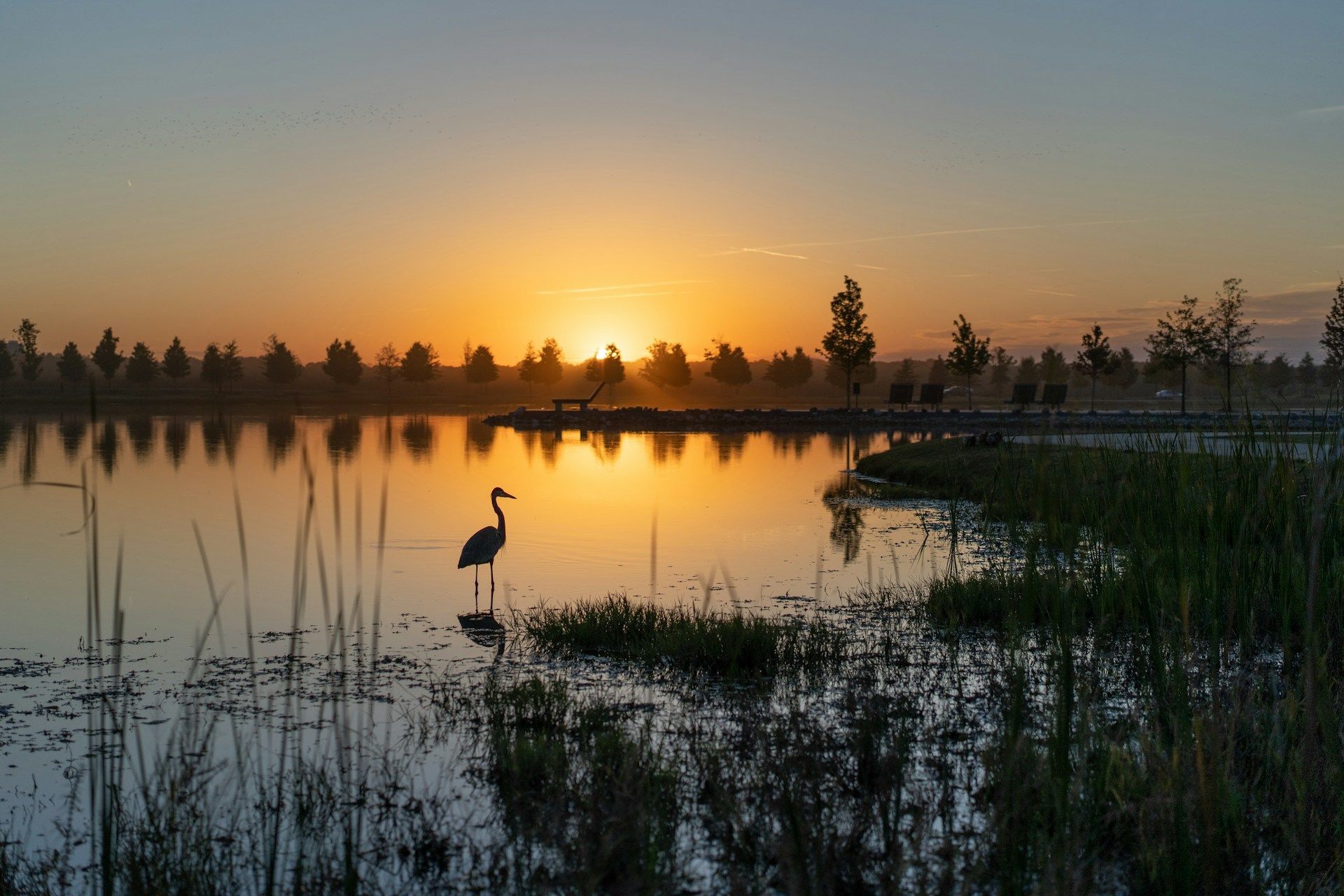 Народні прикмети 18 серпня / © Unsplash