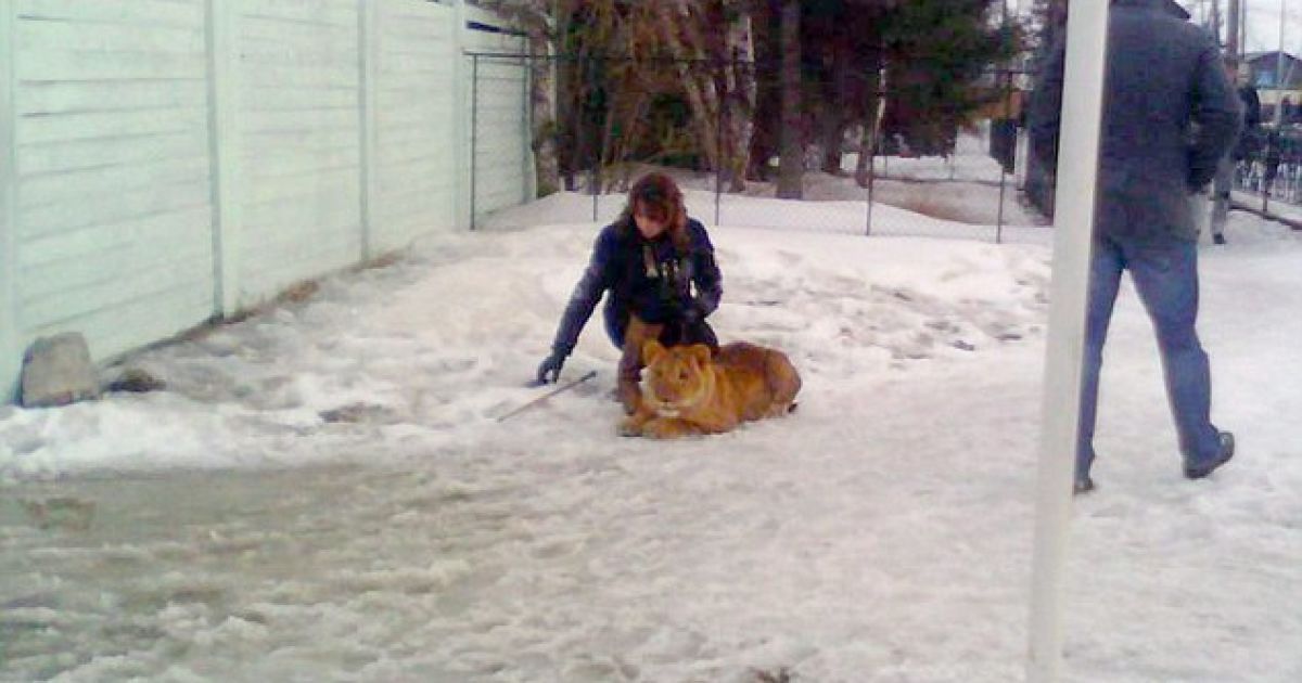 Нині постраждала дитина перебуває у лікарні, ступінь її травм не відомий